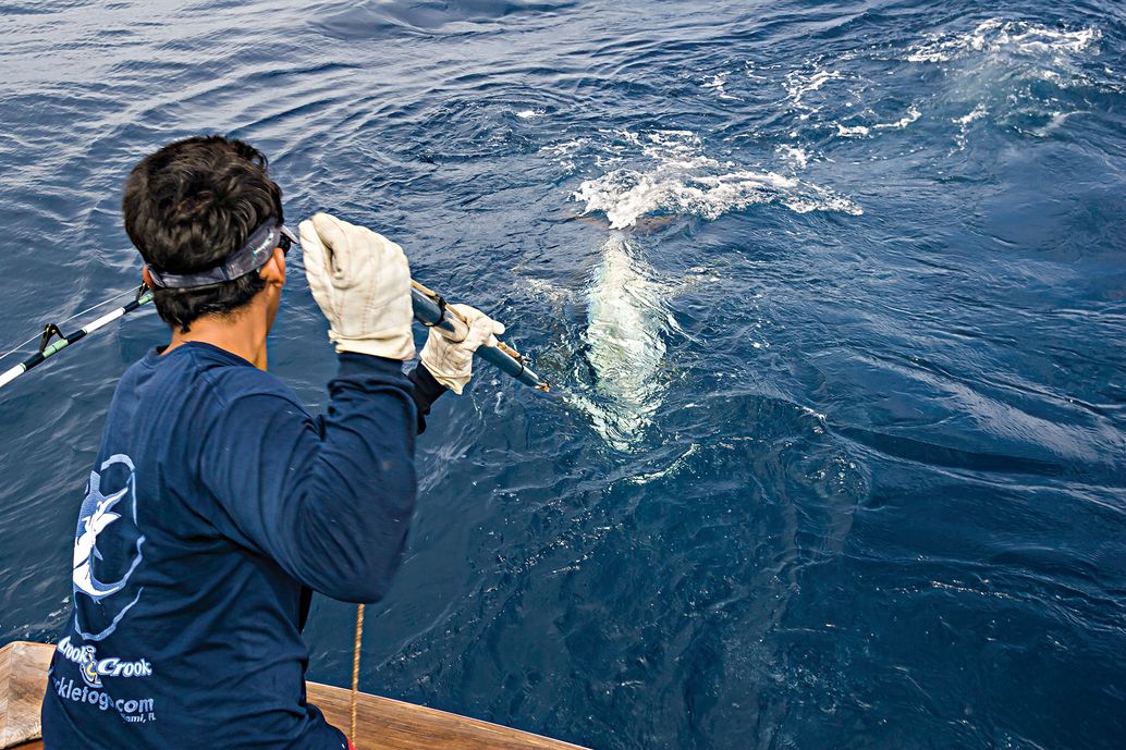 Submerging the front end of the harpoon prior to launch helps ensure a successful strike.