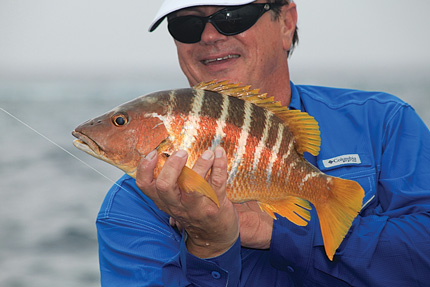 Green Turtle Abacos School’s In: The colorful schoolmaster snapper is a tough fighter, and also makes great table fare. This is a big one!