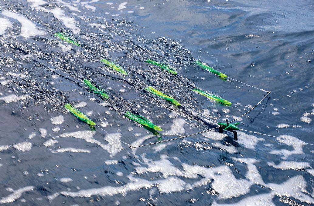 A lead bird on the keel carries the teaser spread laterally.