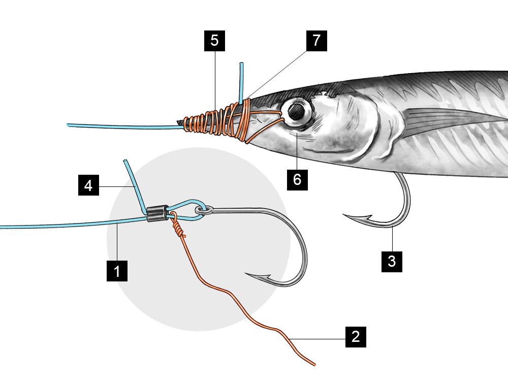 This rig is a winner when dolphin or tuna get finicky
