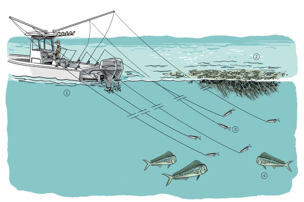 When trolling along a promising weed line with no results