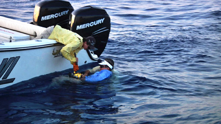 Nick Stanczyk and Kevin Tierney (in water with Poveromo), struggle to free Poveromo from the harness.