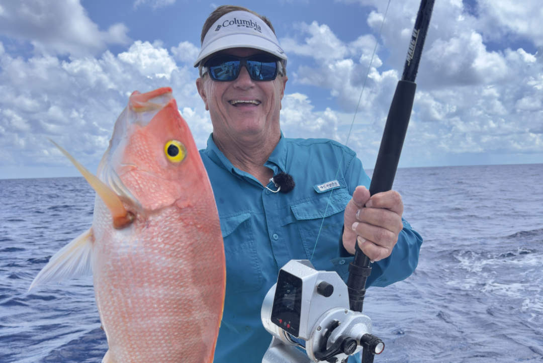 THE BUSMAN’S HOLIDAY, Bimini, Bahamas