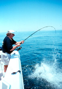 A wind-on leader system allows you to lead a fish to the boat without having to back away from the gunwale.