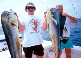 Keep the boat moving after the strike - its continued movement will help set the hook and may result in multiple hook-ups.