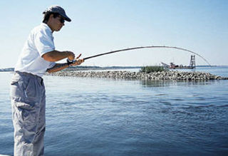 Anglers who know how to apply additional drag at precise moments can often beat large fish on remarkably light tackle.