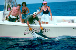 When trolling, keep the boat moving forward on the strike. This helps set the hook by getting the stretch out of the fishing line.