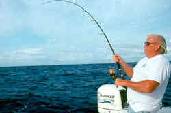 If you're dropping back to a fish you've seen enter the spread, don't set the hook until it has turned sideways to the boat. This results in a better striking angle.