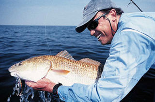 The Bimini twist/Bristol knot connection is small enough to pass through most rod guides, making it ideal for light-tackle casting work. The same advantage allows a long leader to be wound onto the reel when landing offshore species such as sailfish, tuna, dolphin and shark.