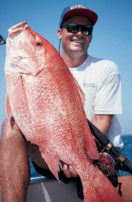 Precision Anchoring Tactics