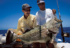 The Top-Shot Advantage